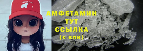 ПСИЛОЦИБИНОВЫЕ ГРИБЫ Карпинск