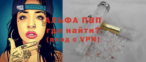 сатива Кинешма