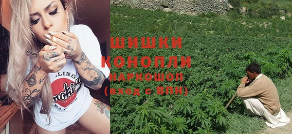 ПСИЛОЦИБИНОВЫЕ ГРИБЫ Карпинск