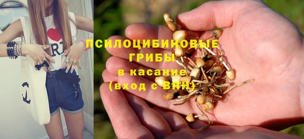 ПСИЛОЦИБИНОВЫЕ ГРИБЫ Карпинск