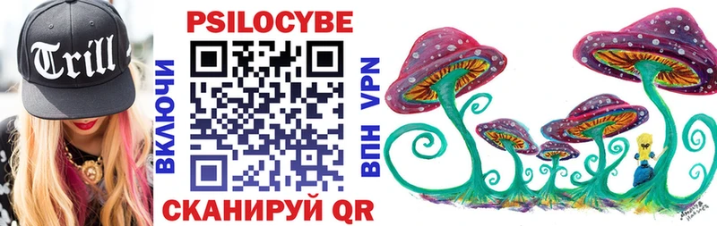 Галлюциногенные грибы Cubensis  Купить  Вышний Волочёк 